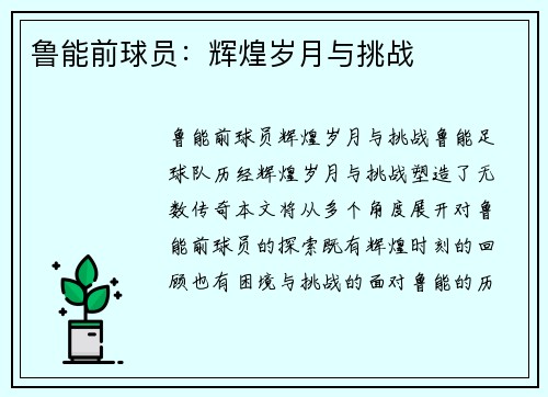 鲁能前球员：辉煌岁月与挑战